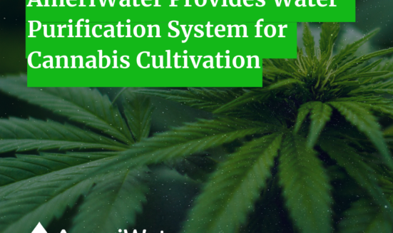 AmeriWater Provides Water Purification System for Cannabis Cultivation Icon 
