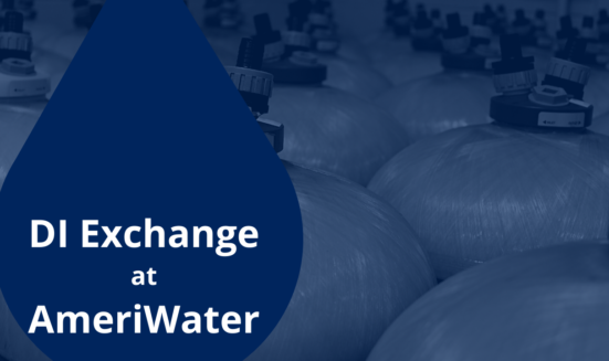 Do You Know About Deionization Exchange Service at AmeriWater? Icon 